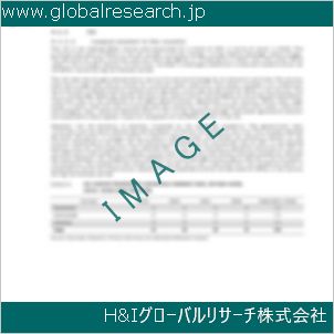 グローバルリサーチ調査資料のイメージ